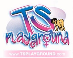 ts playground