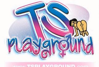 ts playground